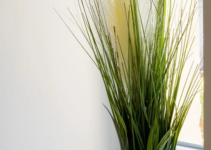 L'etincelle, Appt A 3mn A Pied De La